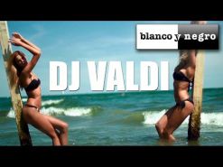 DJ Valdi de El Hormiguero (Official Medley)